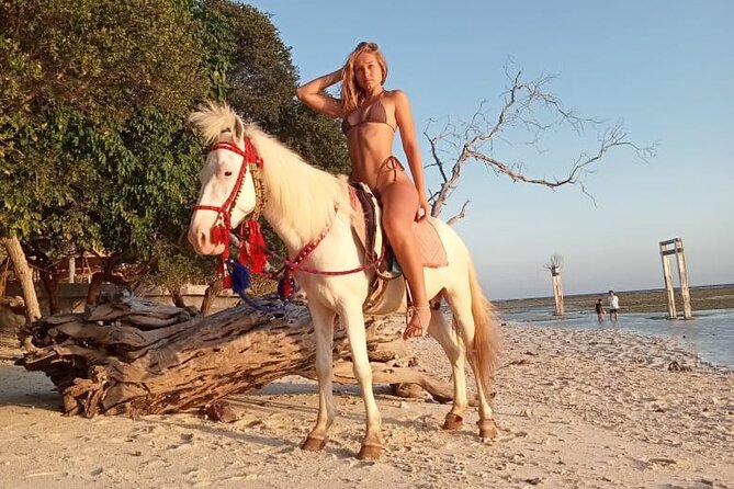 Horse Ride On The Beach Gili Islands - Quick Hits Before You Go