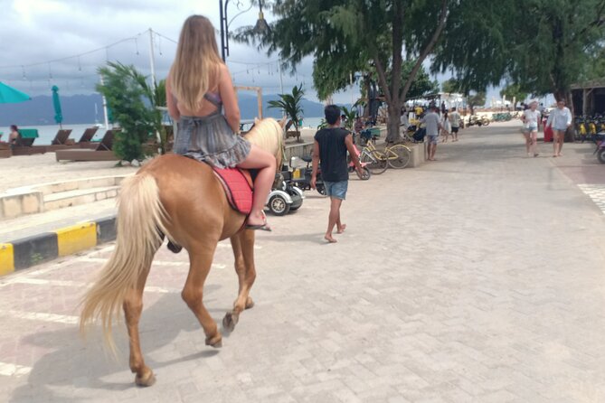 Horse Ride On The Beach Gili Islands - Pickup and the Fast Start at Your Hotel