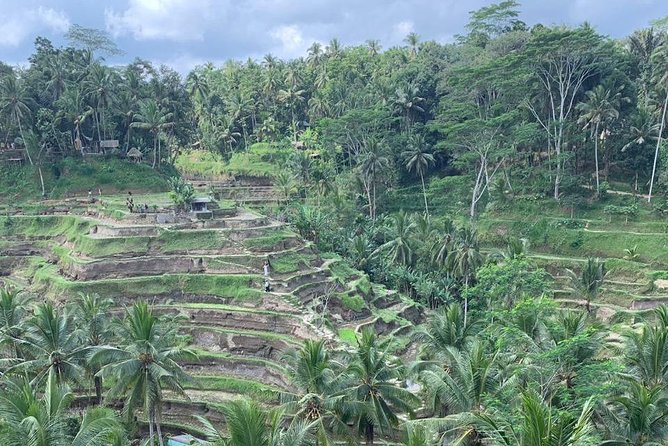 Individual Bali Day Trip with Private Driver and Free WiFi - South Bali beach run, from Nusa Dua to Uluwatu and Jimbaran