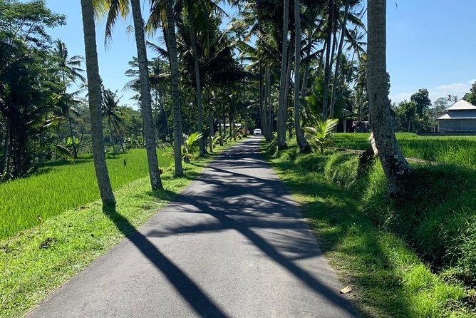Individual Bali Day Trip with Private Driver and Free WiFi - Uluwatu and south cliffs, the practical way to avoid wasting time