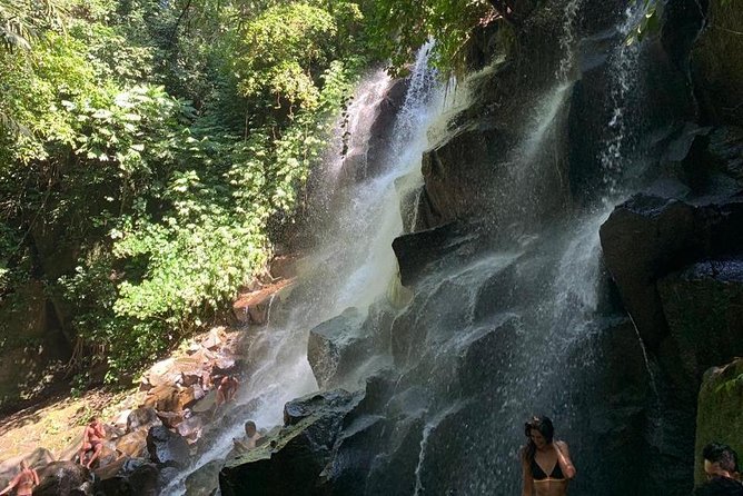 Individual Bali Day Trip with Private Driver and Free WiFi - Ubud culture and art stops, for walks, craft browsing, and rice terraces
