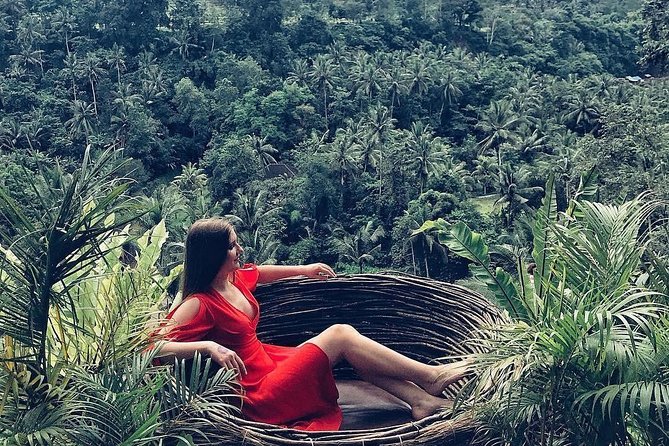 Individual Bali Day Trip with Private Driver and Free WiFi - Central Bali water and purification stops, Tirta Empul and Tegenungan
