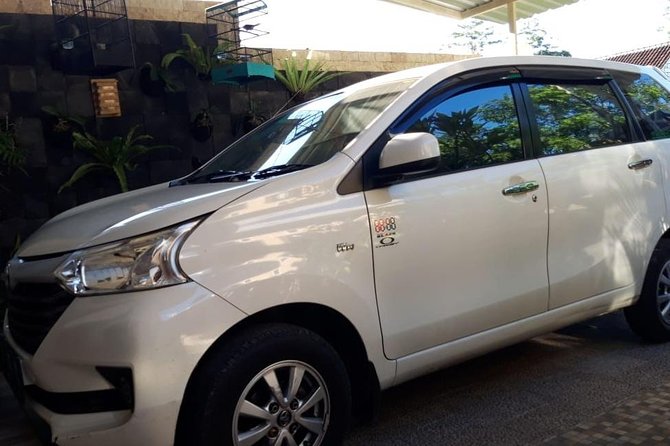 Individual Bali Day Trip with Private Driver and Free WiFi - North and northeast icons, gates, lakes, and temple views