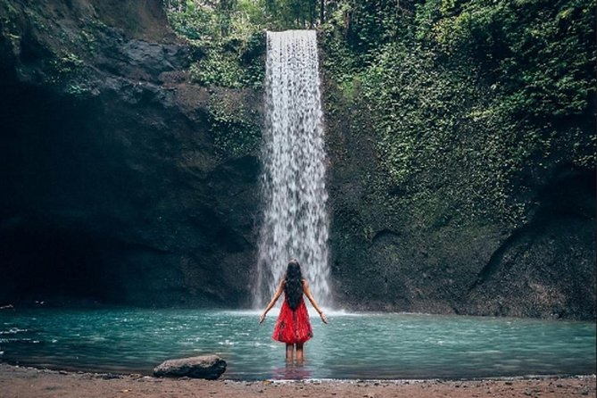 Individual Private Car Hire with English Speaking Chauffeur - Ubud warm-up: Monkey Forest, Campuhan Ridge, and the classic waterfall hits
