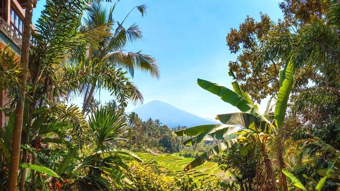 Jatiluwih Batukaru Mountain Nature's Best Tour - Key Points That Matter