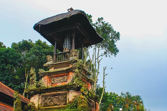 Jatiluwih Batukaru Mountain Nature's Best Tour - From Ubud to the Batukaru Mountains, Without the Beach Routine