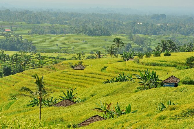 Jatiluwih Batukaru Mountain Nature's Best Tour - Pura Luhur Batukaru Temple: Remote, Forest-Fed, and Peaceful When You Slow Down