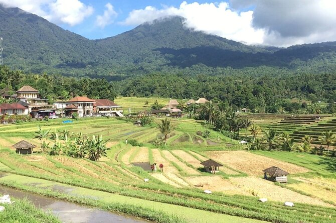 Jatiluwih Batukaru Mountain Nature's Best Tour - Lunch and the Midday Restaurant Stop: Budget for Food You Buy Yourself