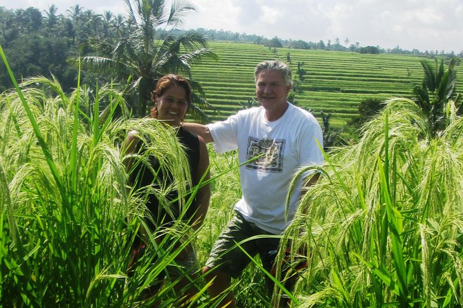 Jatiluwih full day e-bike cycling with lunch & trekking program - Price and value: what you really get for $88