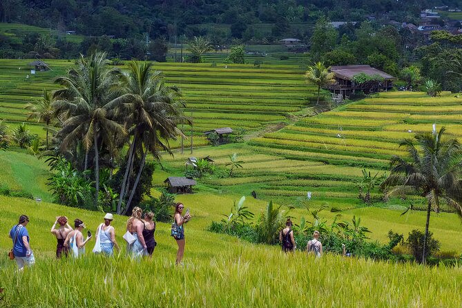 Jatiluwih Spiritual Journey of Melukat with Rice Terrace View - Ulun Danu Beratan Temple: the lake-side stop that earns its photos