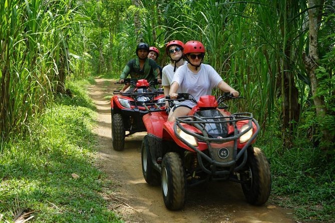 Jungle ATV Quad Bike Through Gorilla Face Cave - Pickup Timing and the Day Flow That Keeps It Smooth