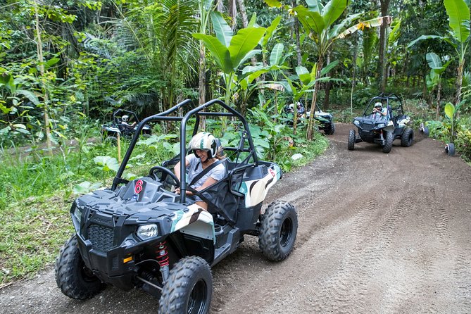Jungle Buggy Adventure and Ubud Tour - Tegalalang Rice Terrace: Classic Ubud Views, With Time to Look