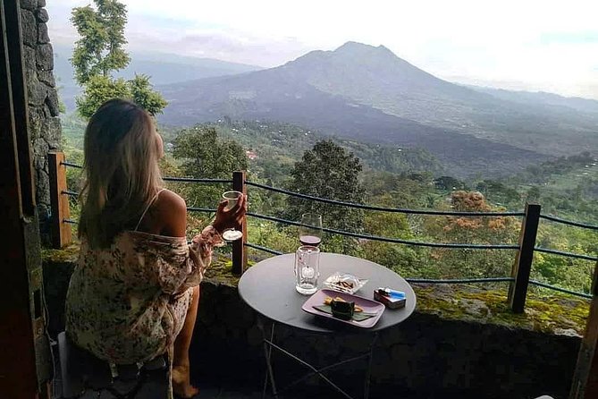 Jungle Swing - Volcano - Water Temple - Monkey Forest and Waterfall Tour - Ubud Monkey Forest Sanctuary: Walk With Long-Tailed Macaques