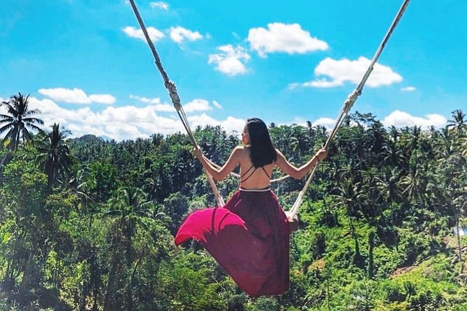 Jungle Swing - Volcano - Water Temple - Monkey Forest and Waterfall Tour - Price and Value: What You Pay Up Front and What You Pay at Each Stop