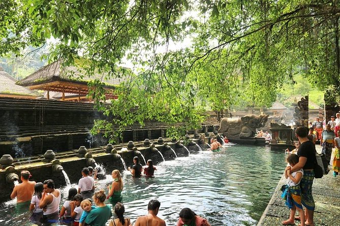 Jungle Swing - Volcano - Water Temple - Monkey Forest and Waterfall Tour - Tegenungan Waterfall: A Bali Classic With Jungle Vibes and Photo Time