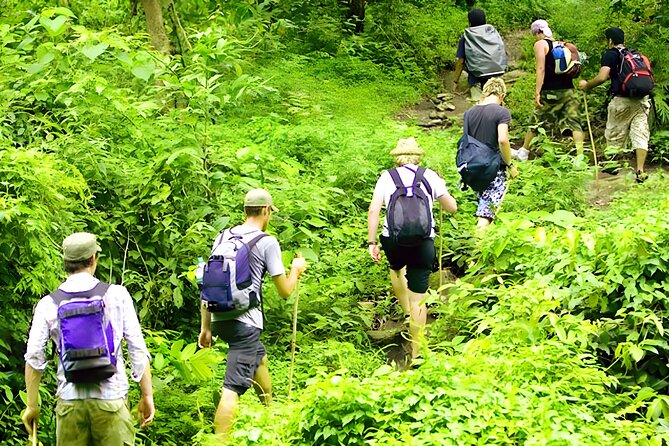 Jungle Trekking and Tamblingan Lake Canoeing in Bali Rainforest - The jungle trek to a Hindu temple, with guide-led storytelling