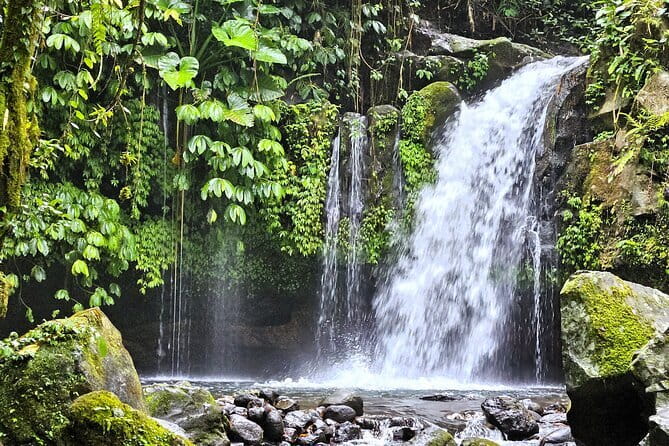 Jungle Trekking at Mt. Batukaru, scenic Waterfall & village life - Key things to know before you go