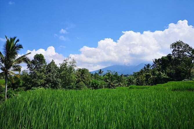 Jungle Trekking at Mt. Batukaru, scenic Waterfall & village life - Sanur Pickup to Luhur Batukaru Temple: A Slow Drive Into the Hills