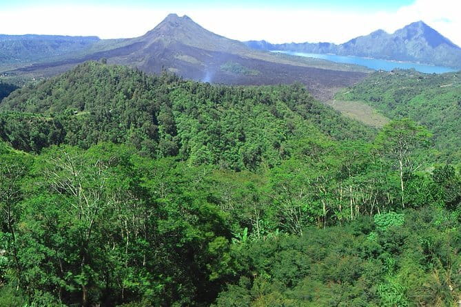 Jungle Trekking at Mt. Batukaru, scenic Waterfall & village life - Who This Tour Fits Best