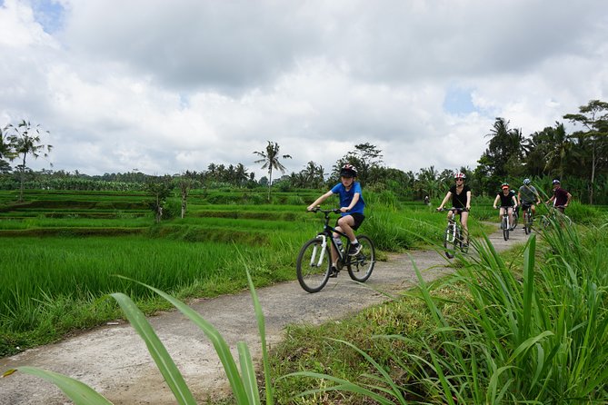 Kintamani Cultural and Nature Cycling Tour ( Manual Bike ) - Key things to know before you go