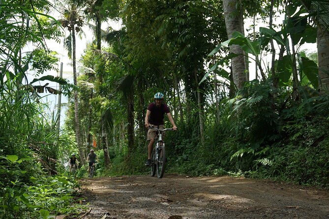 Kintamani Cultural and Nature Cycling Tour ( Manual Bike ) - Manual bikes, mostly downhill, and why your comfort matters