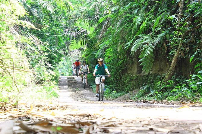 Kintamani Cultural and Nature Cycling Tour ( Manual Bike ) - Kintamani start: village riding and a real start point