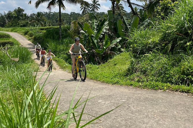 Kintamani Down Hill Cycling - Who Should Book This, and Who Might Skip It