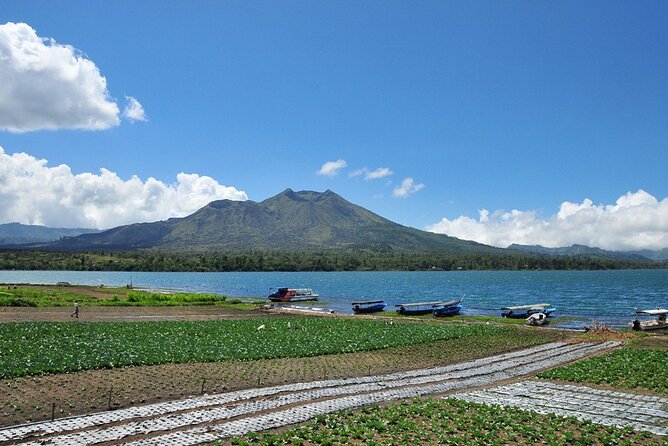 Kintamani Lake & Volcano Tour - Mas woodcarving center: see the work before it becomes product