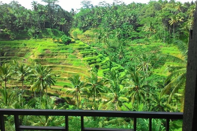 Kintamani Volcano View Tour - Finishing in Ubud: art market time or Campuhan Ridge walk