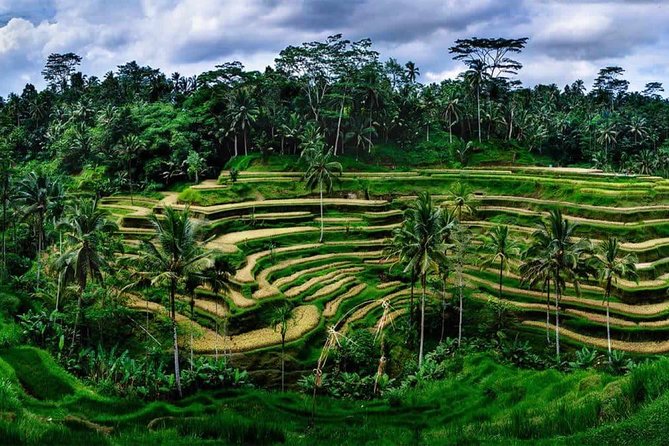 Kintamani Vulcano Tour - From Ubud pickup to a local produce-market start