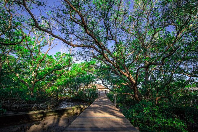 Kuta Beach eBike Private Tour - Satria Gatotkaca and the food street you can smell
