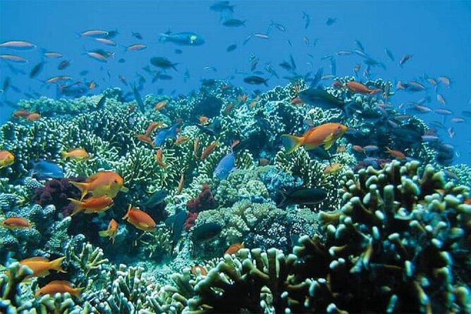 Lempuyang Gate of Heaven and City Tour - Blue Lagoon Beach near Padang Bai: clear water and swim time