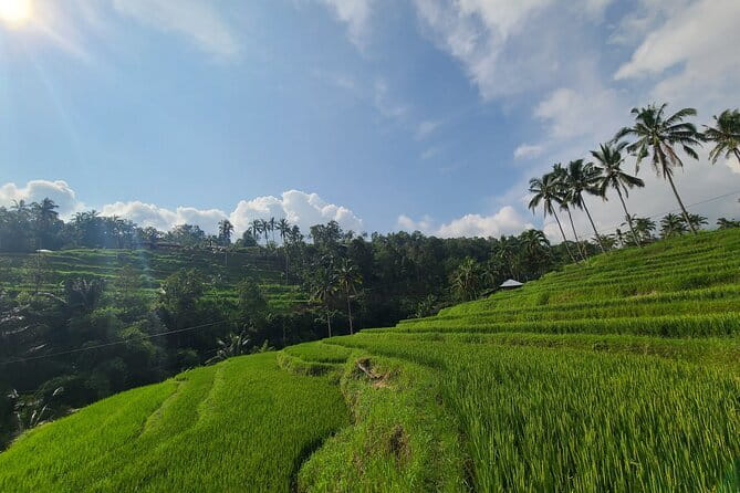 Lemukih Hidden Trekking Waterslide Sekumpul and Fiji Waterfall - Waterslide and water jump: fun with real safety control