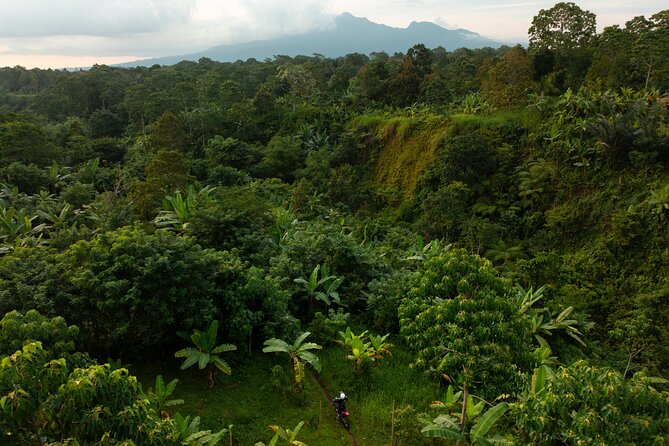 Lombok Off Road Dirt Biking and Enduro Trails Adventure - What you’re really signing up for in Sesoat