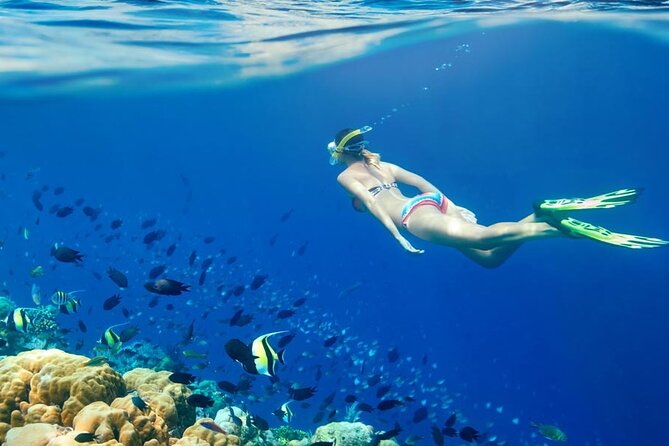 Lombok Pink Beach Boat Trip (Full Day + Snorkeling) - Snorkeling sessions: gear provided, crew guidance emphasized