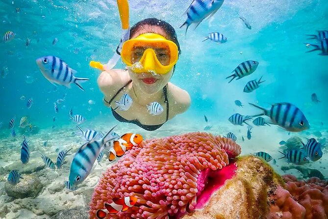Lombok Pink Beach Boat Trip (Full Day + Snorkeling) - Lunch and downtime that actually help