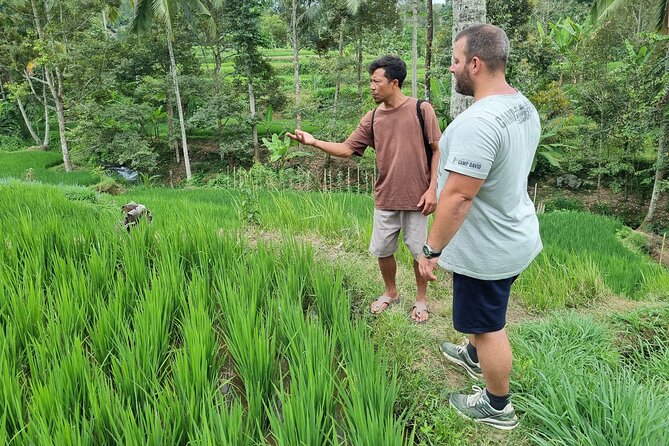 Lombok Private Customize Tour - How the driver-guide approach changes your day
