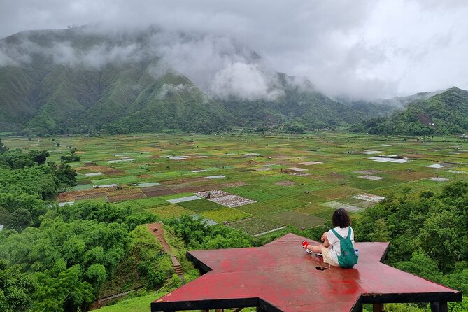 Lombok Private Customize Tour - Food strategy: lunch is on you, but the stop can be local
