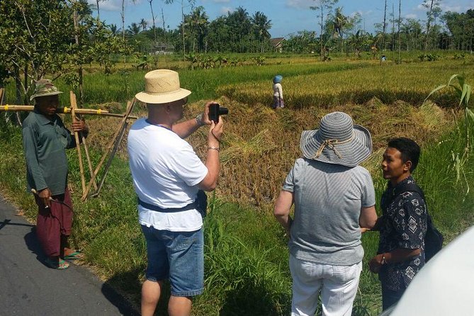Lombok Private Sasak Tour (Culture & Beaches) - Ende Village Sasak houses: clay, cow dung, and how daily life fits