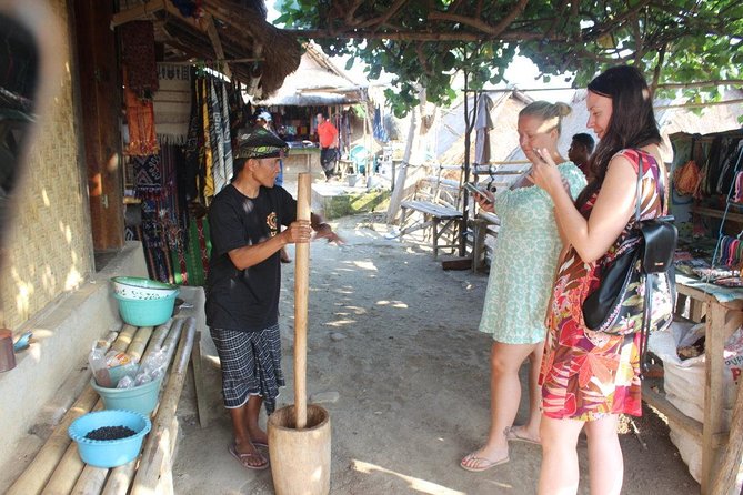 Lombok Private Tour Waterfall And Traditional Village Including Beach - Who this tour is best for