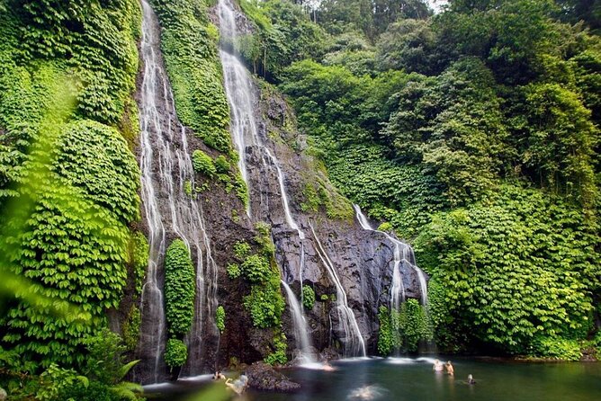 Lovina Sunrise Dolphin & Waterfall Tour - Wanagiri Hidden Hills for Views After the Busy Morning