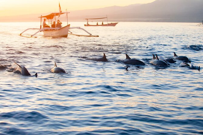 Lovina Sunrise Dolphin & Waterfall Tour - The 3am Lovina Beach Cruise, Sunrise Included