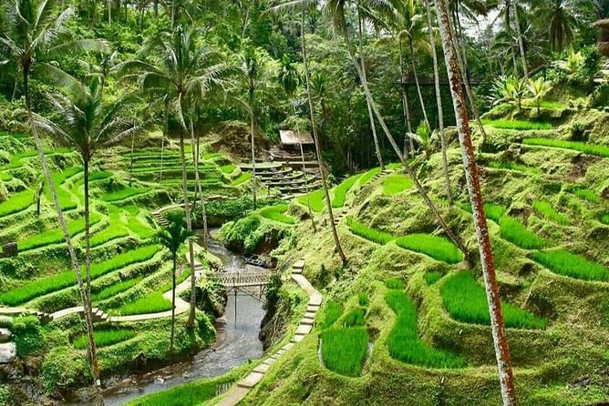 Magic Of Ubud Temple Swing And Waterfall Private Guided Tour - A ten-hour Ubud day built around temples, swings, and waterfalls
