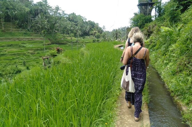 Magic Of Ubud Temple Swing And Waterfall Private Guided Tour - Stop 1: Sacred Monkey Forest Sanctuary, dragon statues, and a jungle walk