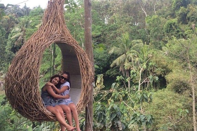 Magic Of Ubud Temple Swing And Waterfall Private Guided Tour - Tegalalang Rice Terrace and a lunch break with Indonesian flavors