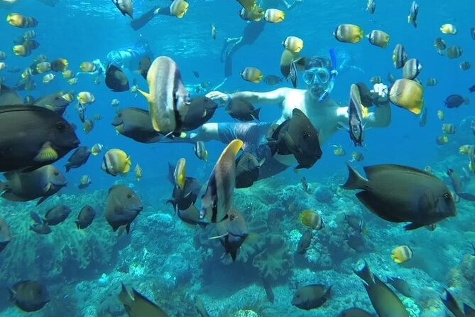 Manta Bay Snorkeling Adventure with Kelingking Beach Nusa Penida All Inclusive - Key highlights you can plan around