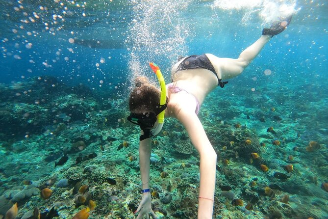 Manta Bay Snorkeling Adventure with Kelingking Beach Nusa Penida All Inclusive - Morning logistics: 6:30 am start, Sanur harbor, and fast boat timing
