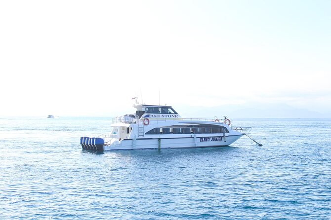 Manta Bay Snorkeling Adventure with Kelingking Beach Nusa Penida All Inclusive - Kelingking Beach: the cliff stop and the photo moment