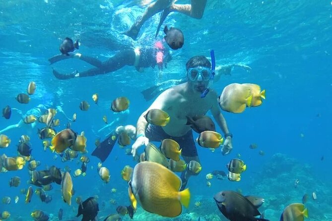 Manta Bay Snorkeling Adventure with Kelingking Beach Nusa Penida All Inclusive - Snorkeling safari: Manta Bay, Crystal Bay, or Gamat Bay