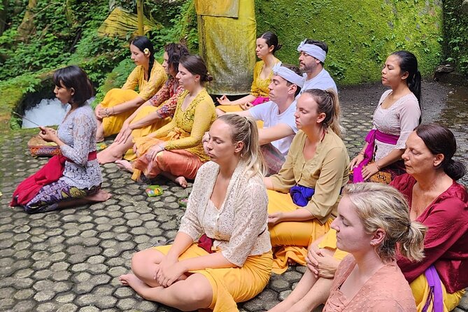 Meditate with a Shaman - Price and logistics: what you are paying for in real terms